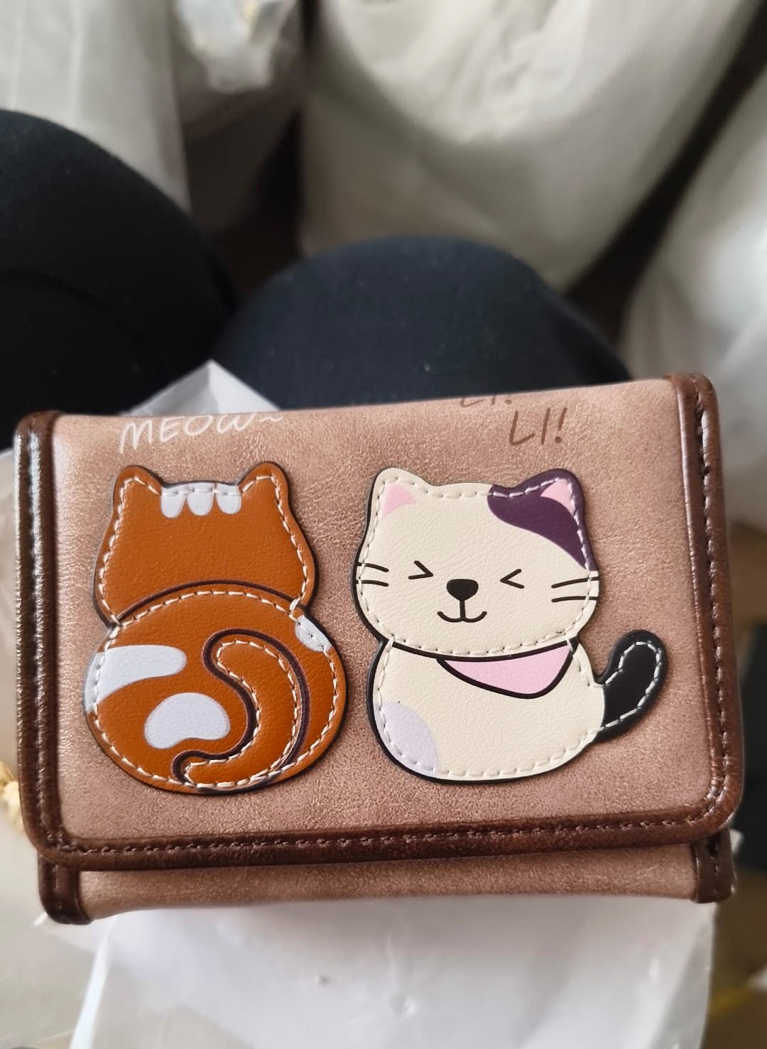 Billetera gato Beibaobao